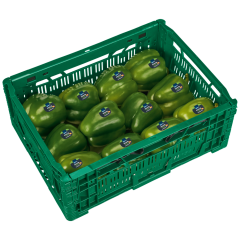 EDEKA Paprika, grün Klasse 	I 