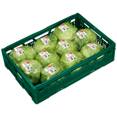GUT&GÜNSTIG Eisbergsalat Klasse 	I 