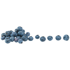 EDEKA Heidelbeeren Klasse 	I 500g 