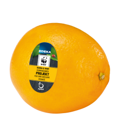 EDEKA Orangen, Apeel Klasse 	I 1,5kg 