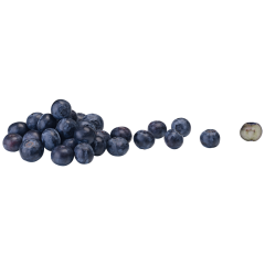 EDEKA Bio Heidelbeeren, Bio Klasse 	II 500g 