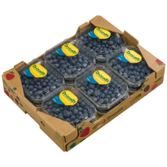 San Lucar Heidelbeeren Klasse 	I 500g 