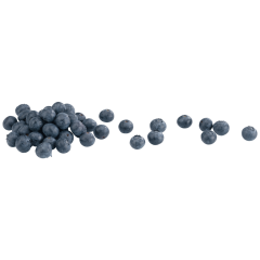 Kulturheidelbeeren Klasse 	I 500g 