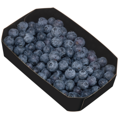 Kulturheidelbeeren Klasse 	I 300g 