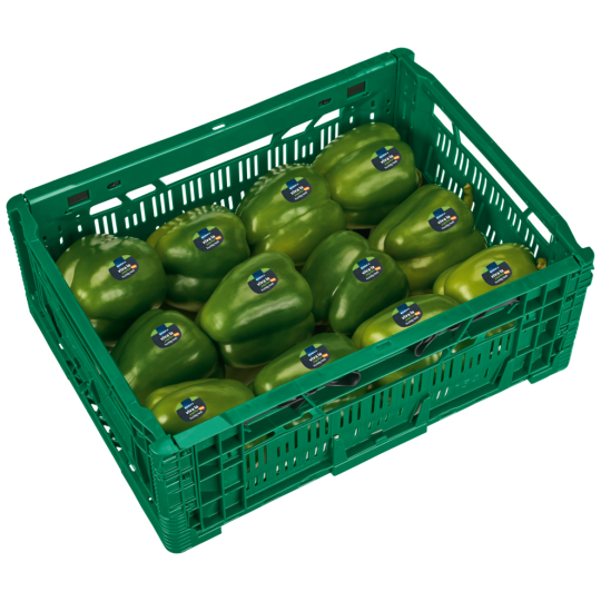 EDEKA Paprika, grün Klasse 	I 