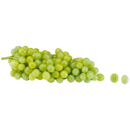 GUT&GÜNSTIG Trauben hell, kernlos Klasse 	I 500g 