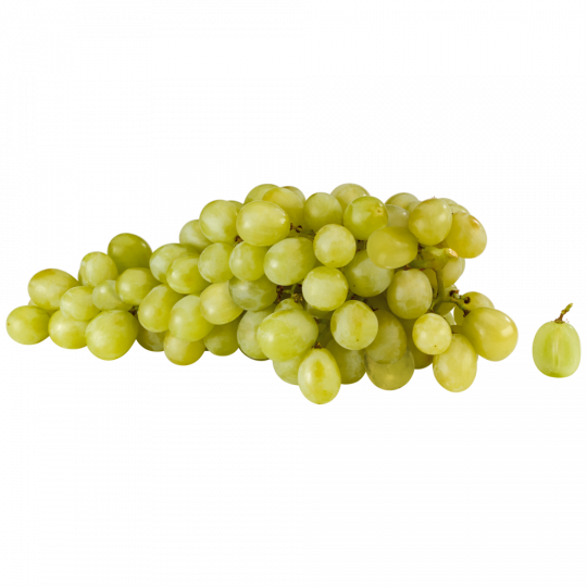GUT&GÜNSTIG Trauben hell, kernlos Klasse 	I 500g 