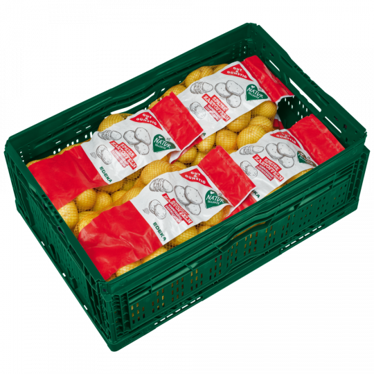 GUT&GÜNSTIG Kartoffeln vorwiegend festkochend 2,5kg 
