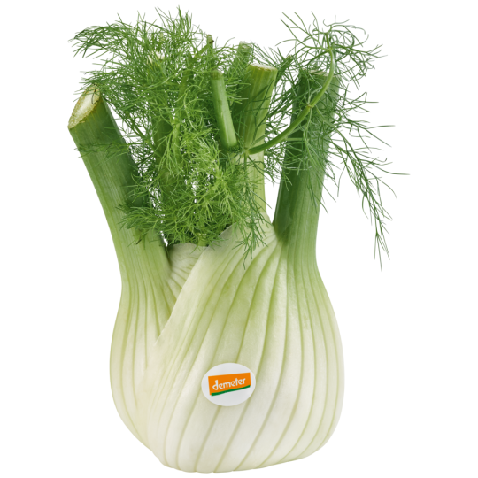 Demeter Fenchel, Bio Klasse 	II 