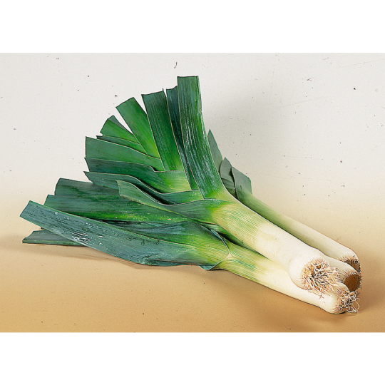 SW Unsere Heimat Porree Klasse 	I 