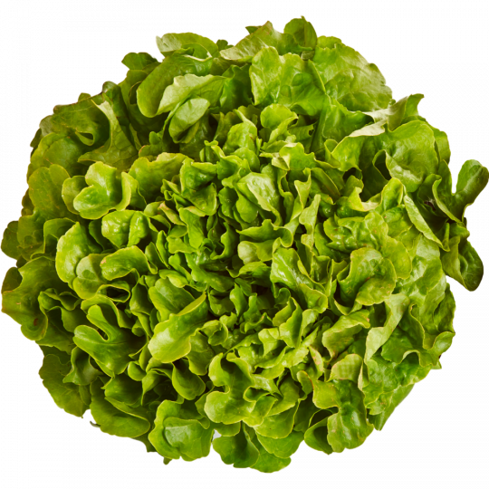 SW Unsere Heimat Kraussalat Klasse 	I 