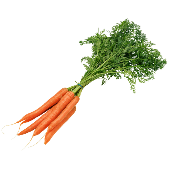 SW Unsere Heimat Bundmöhren Klasse 	I 