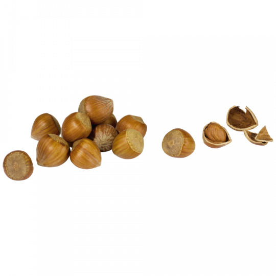 Red Rhino Haselnüsse i.d.Schale Klasse 	I 300g 