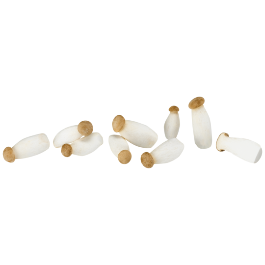 Kräuterseitlinge, mittel, Bio 