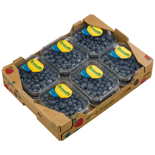 San Lucar Heidelbeeren Klasse 	I 500g 