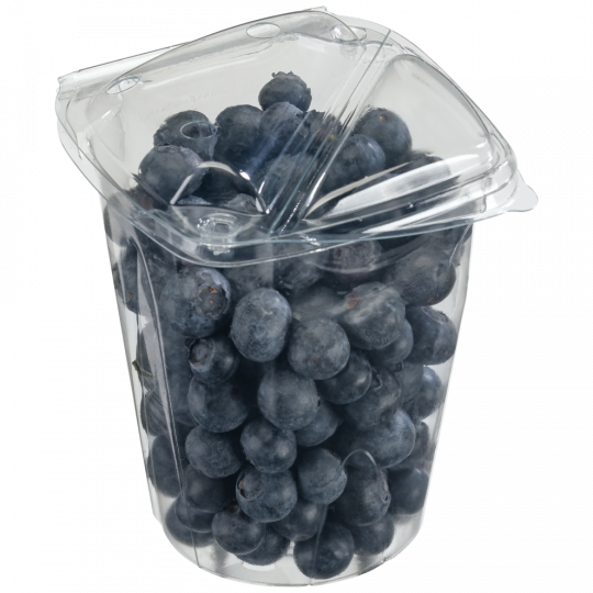 Heidelbeeren Klasse 	I 500g 