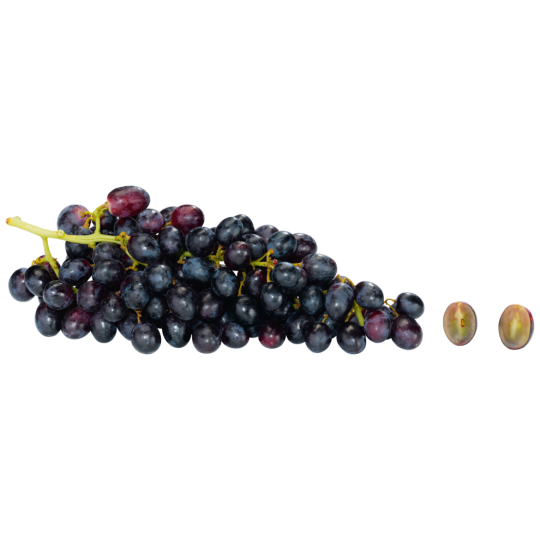 San Lucar Trauben dunkel, kernlos Klasse 	I 650g 