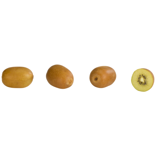 Zespri Kiwis gold Klasse 	I 