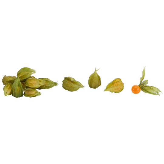 Physalis 125g 