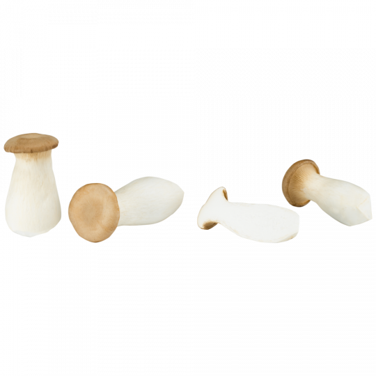 SW Unsere Heimat Bioland Kräuterseitlinge, Bio 