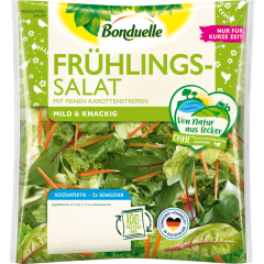 Bonduelle Frühlings-Salat 150 g 