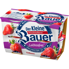 Bauer Der Laktosefreie Joghurt mild Erdbeere 3,5 % Fett 4 x 100 g 