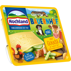 Hochland Sandwich Scheiben Bauernhof mit Gouda 45 % Fett i. Tr. 150 g 