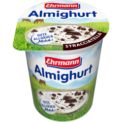 Ehrmann Almighurt Stracciatella 3,8 % Fett 150 g 