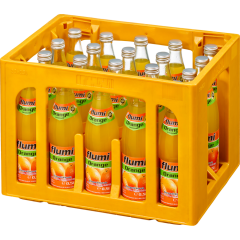 flumi Orange - Kiste 20 x 0,5 l 