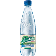 Bad Brambacher Mineralwasser spritzig 0,5 l 