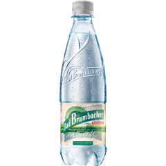Bad Brambacher Mineralwasser Naturell 1 l 