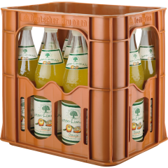 Bad Brambacher Garten-Limonade Orange - Kiste 12 x 0,7 l 