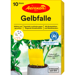 Aeroxon Gelbfalle Topfpflanze 10 Stück 