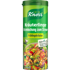 Knorr Kräuterlinge Frühlingskräuter 60 g 