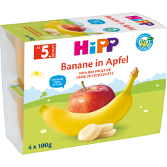 HiPP Bio Frucht-Pause Banane in Apfel nach 4. Monat 4 x 100 g 