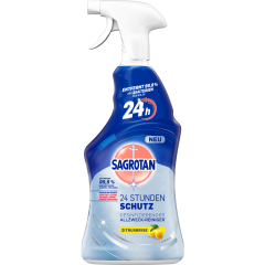 Sagrotan 24 Stunden Schutz Desinfizierender Allzweck-Reiniger Zitrusbrise 600 ml 