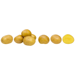EDEKA Kartoffeln festkochend, Ackergold 2,5kg 