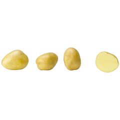 Kartoffeln, vorwiegend festkochend 2,5kg 