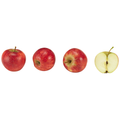 EDEKA Bio Äpfel Elstar Klasse 	II 1kg 