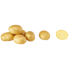 GUT&GÜNSTIG Frühkartoffeln, vorwiegend festkochend 2,5kg 