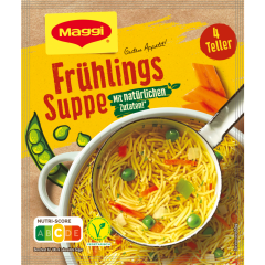 Maggi Guten Appetit Frühlings Suppe für 4 Teller 