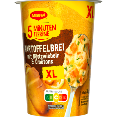 Maggi 5 Minuten Terrine Kartoffel-Brei mit Röstzwiebel XL Cup 76 g 