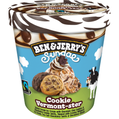 BEN & JERRY'S Sundae Cookie Vermon-ster 427 ml 