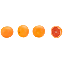SanLucar Grapefruit rot 