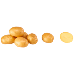 Kartoffeln -10Kg- vorwiegend festkochend 