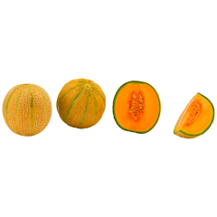Cantaloupe Melonen 