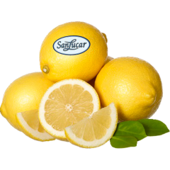 SanLucar Zitronen 