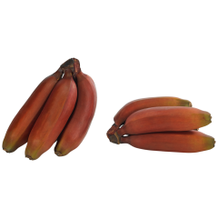 rote Bananen 
