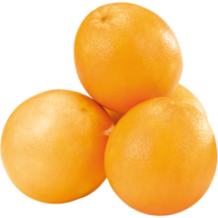SanLucar Orangen 