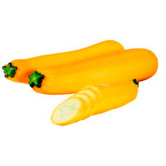 Zucchini gelb 